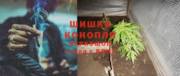 PSILOCYBIN Беломорск